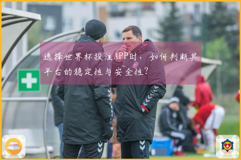 选择世界杯投注APP时，如何判断其平台的稳定性与安全性？