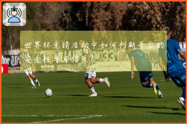 世界杯竞猜活动中如何判断平台的安全性与可信度？