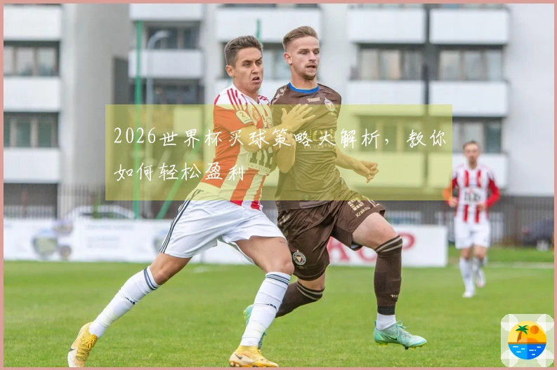 2026世界杯买球策略大解析，教你如何轻松盈利