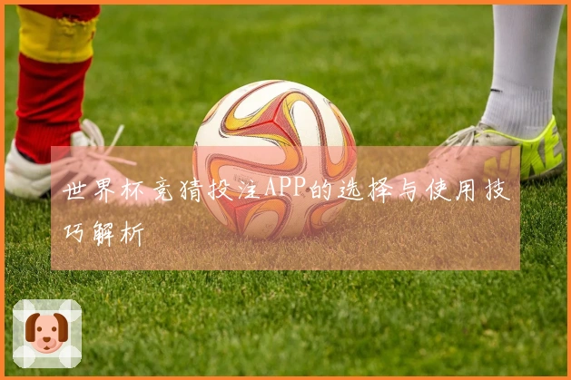 世界杯竞猜投注APP的选择与使用技巧解析