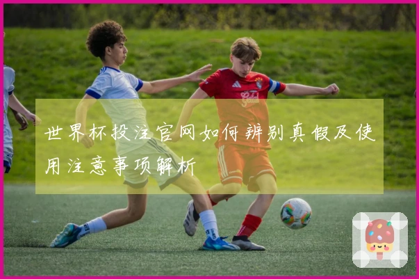世界杯投注官网如何辨别真假及使用注意事项解析