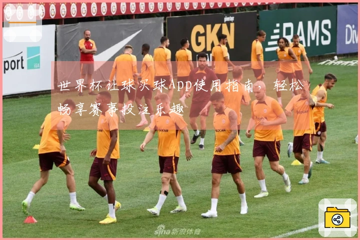 世界杯让球买球App使用指南，轻松畅享赛事投注乐趣