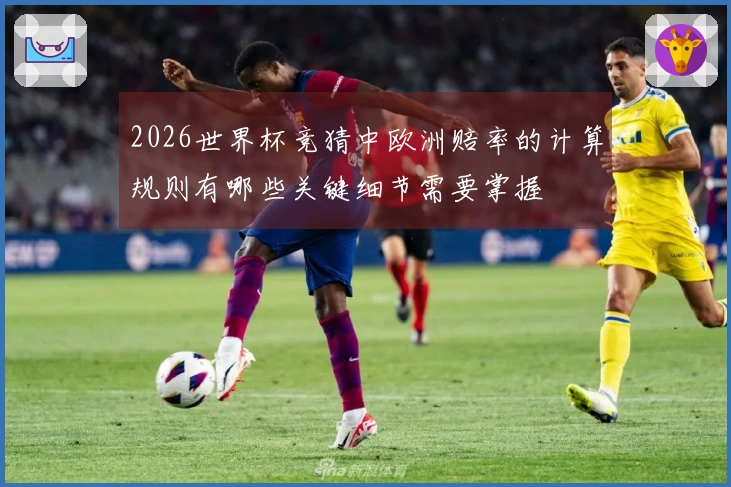 2026世界杯竞猜中欧洲赔率的计算规则有哪些关键细节需要掌握