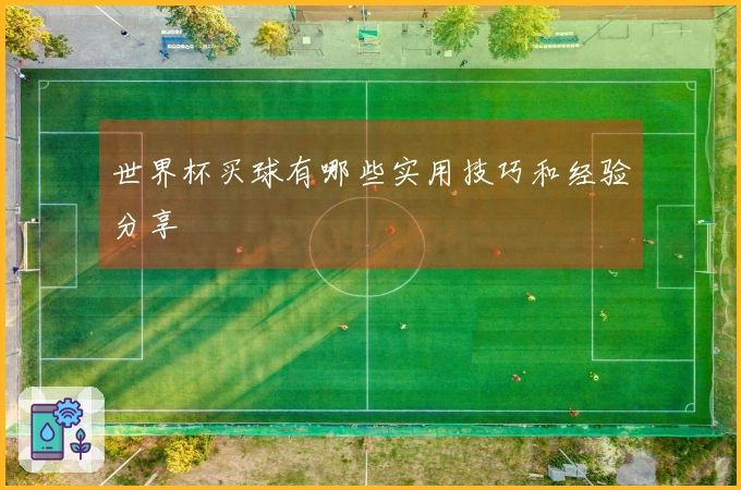 世界杯买球有哪些实用技巧和经验分享