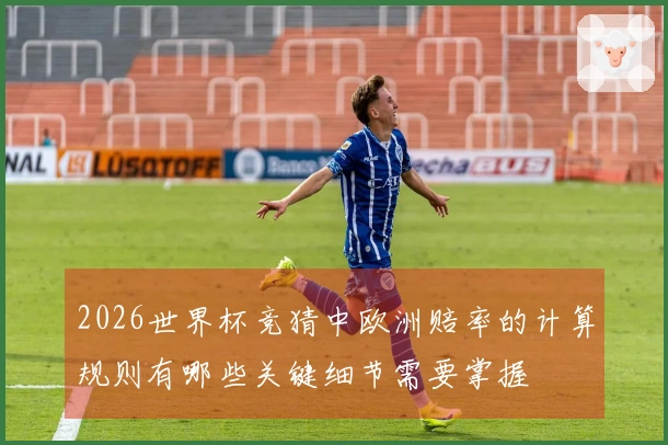 2026世界杯竞猜中欧洲赔率的计算规则有哪些关键细节需要掌握