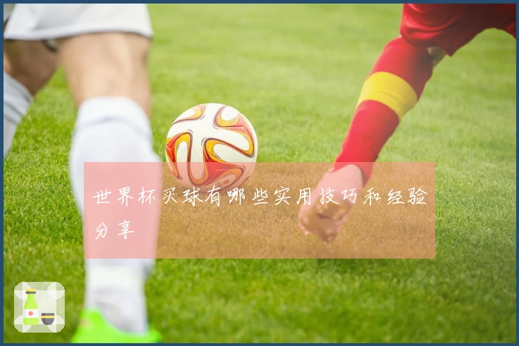 世界杯买球有哪些实用技巧和经验分享