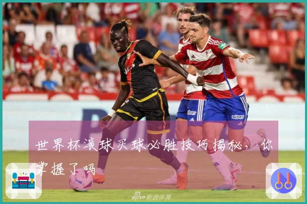 世界杯滚球买球必胜技巧揭秘，你掌握了吗