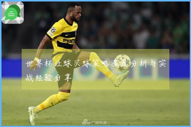 世界杯让球买球策略深度分析与实战经验分享