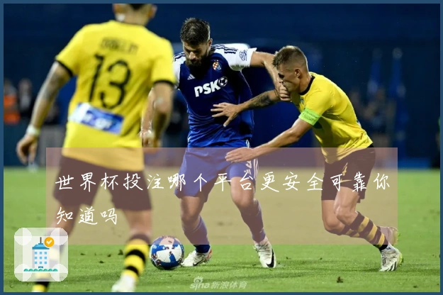 世界杯投注哪个平台更安全可靠你知道吗