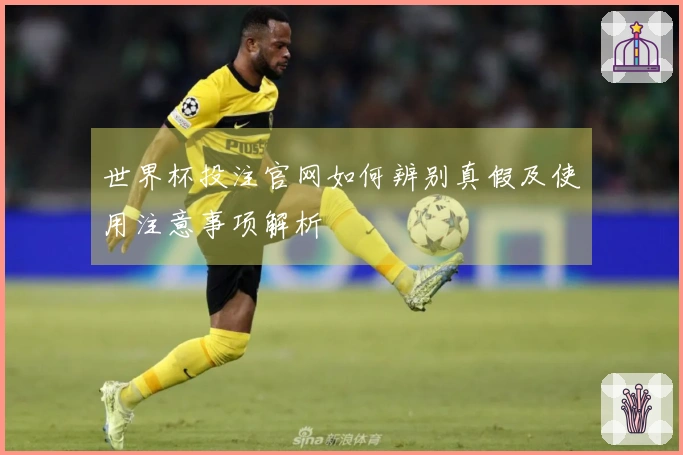 世界杯投注官网如何辨别真假及使用注意事项解析