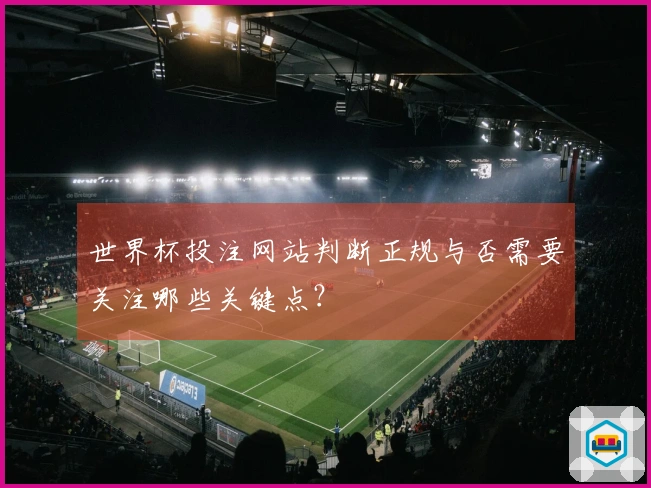 世界杯投注网站判断正规与否需要关注哪些关键点？
