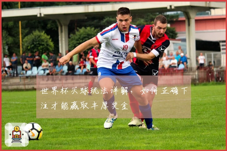 世界杯买球玩法详解，如何正确下注才能赢取丰厚奖金