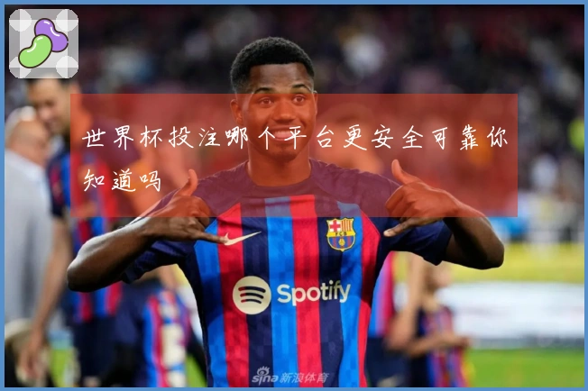世界杯投注哪个平台更安全可靠你知道吗