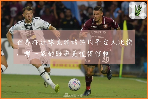 世界杯让球竞猜的热门平台大比拼，哪一家的赔率更值得信赖