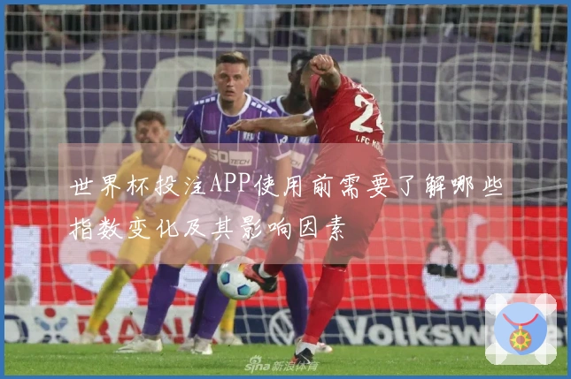 世界杯投注APP使用前需要了解哪些指数变化及其影响因素
