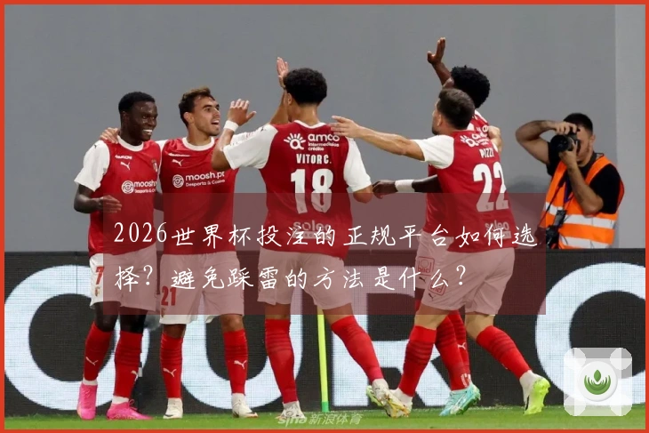 2026世界杯投注的正规平台如何选择？避免踩雷的方法是什么？