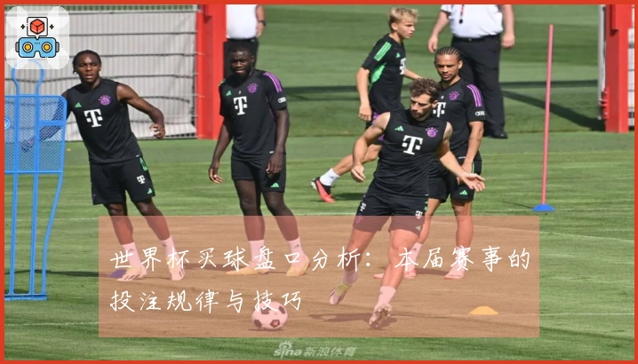 世界杯买球盘口分析：本届赛事的投注规律与技巧