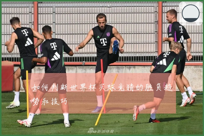 如何判断世界杯买球竞猜的胜负趋势和技巧