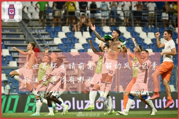 买世界杯竞猜前需了解的风险因素和注意事项有哪些