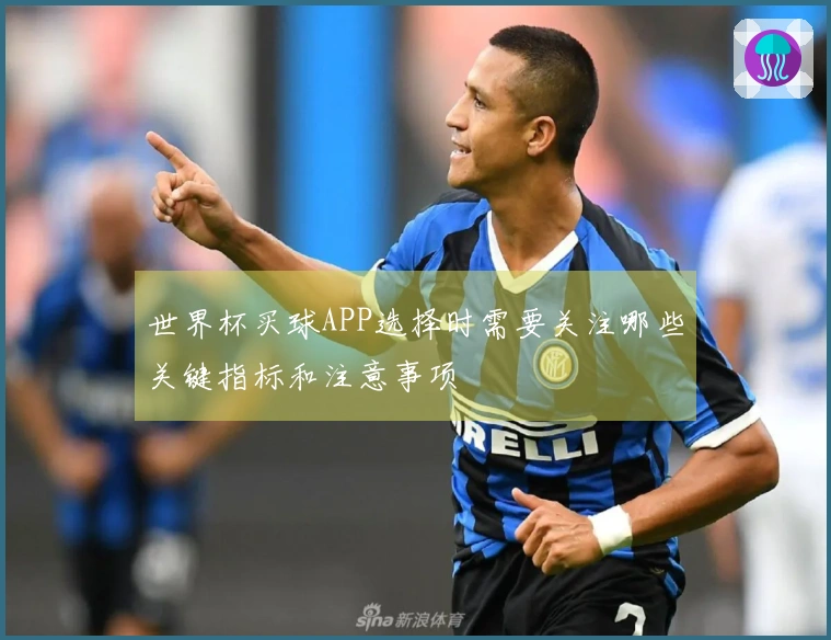 世界杯买球APP选择时需要关注哪些关键指标和注意事项