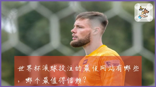 世界杯滚球投注的最佳网站有哪些，哪个最值得信赖？