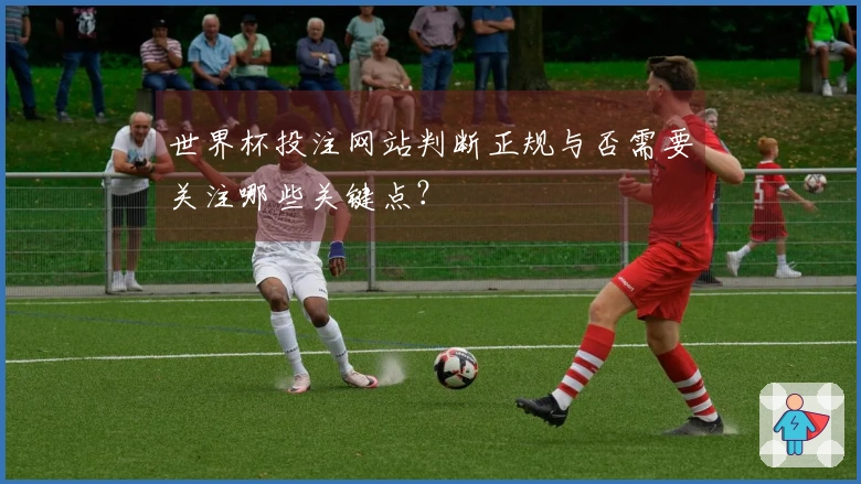 世界杯投注网站判断正规与否需要关注哪些关键点？