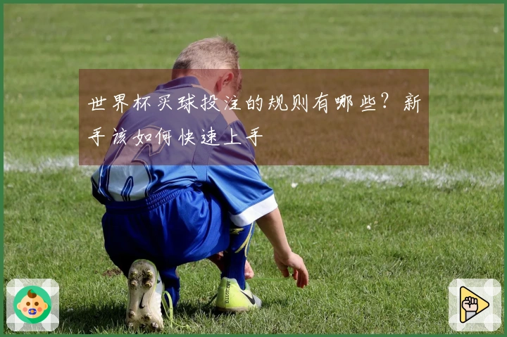 世界杯买球投注的规则有哪些？新手该如何快速上手
