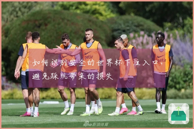 如何识别安全的世界杯下注入口，避免踩坑带来的损失