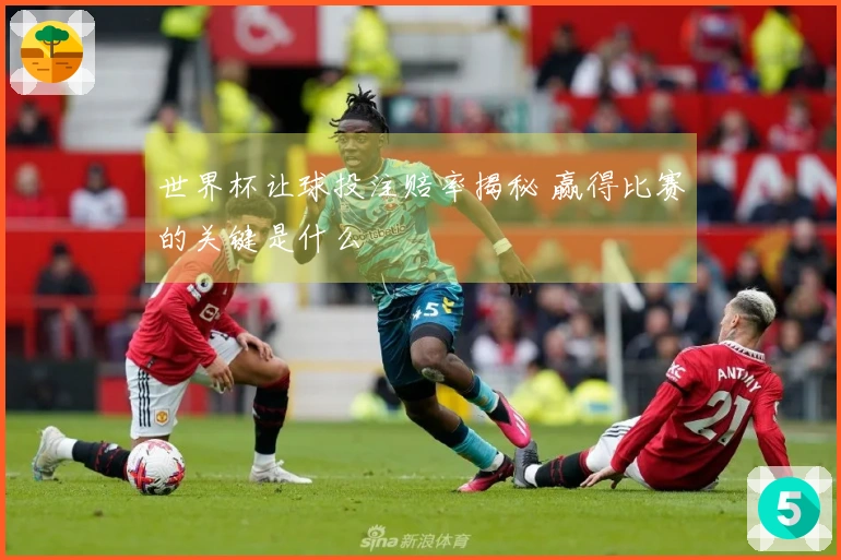 世界杯让球投注赔率揭秘 赢得比赛的关键是什么