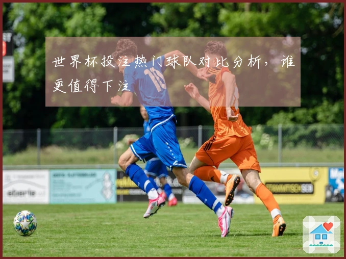 世界杯投注热门球队对比分析，谁更值得下注